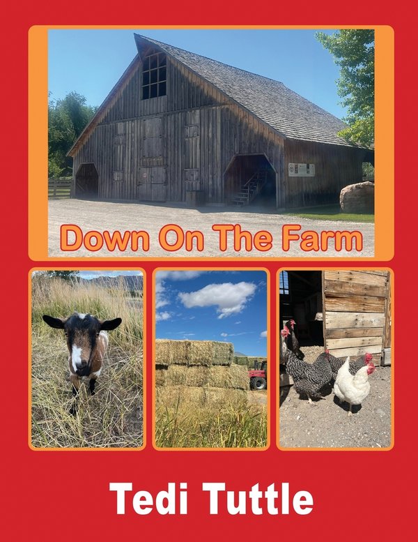 Book Title 4